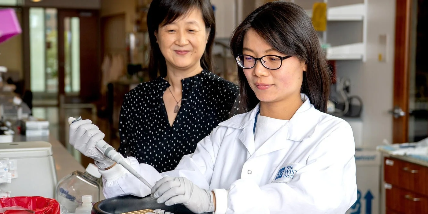 Scientists Make a Breakthrough Discovery in Cancer Research - Letterly ...
