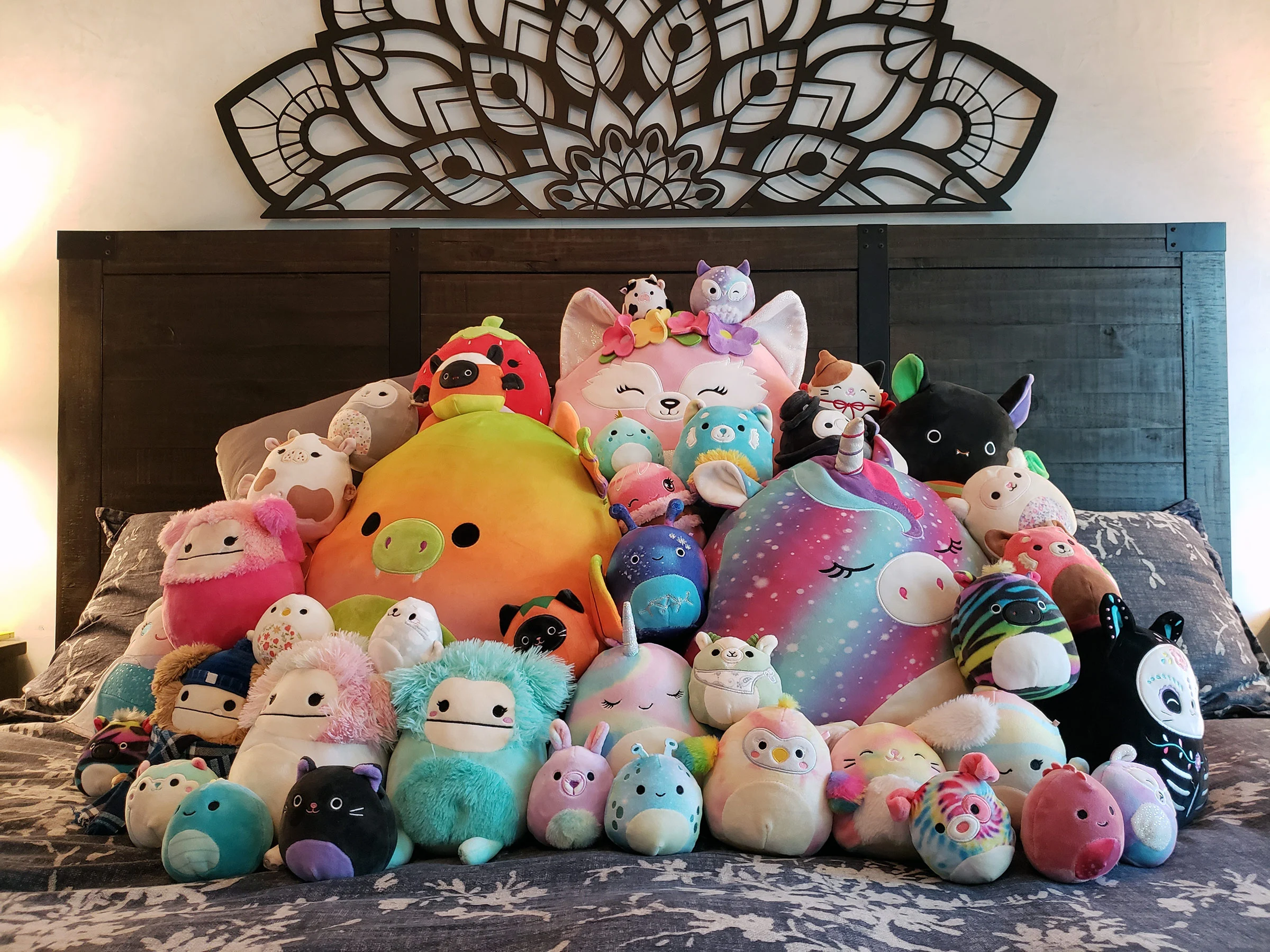 Why Are Squishmallows Just THAT Good? - Letterly Journal