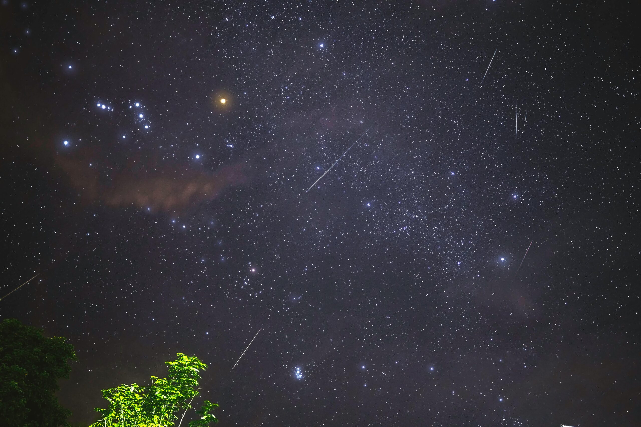 Meteor Showers Light Up the Night Sky Letterly Journal