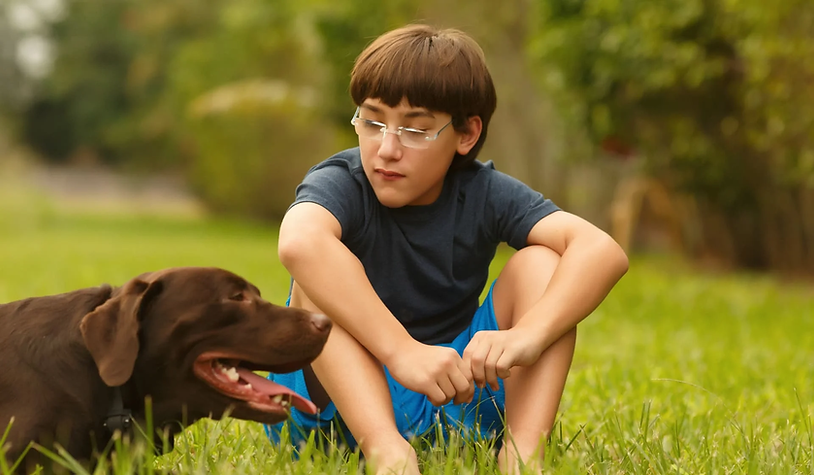 Beneficial learning from pets to kids - Letterly Journal